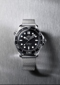 Seamaster Diver 300m