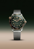 Seamaster Diver 300M