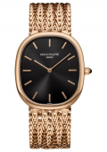 Golden Ellipse Watch